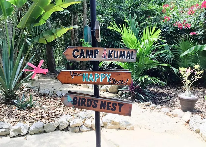 Camp - Hosted Family